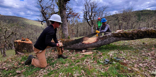 Event lineup: Explore Red Buttes, crosscut course, volunteer campout