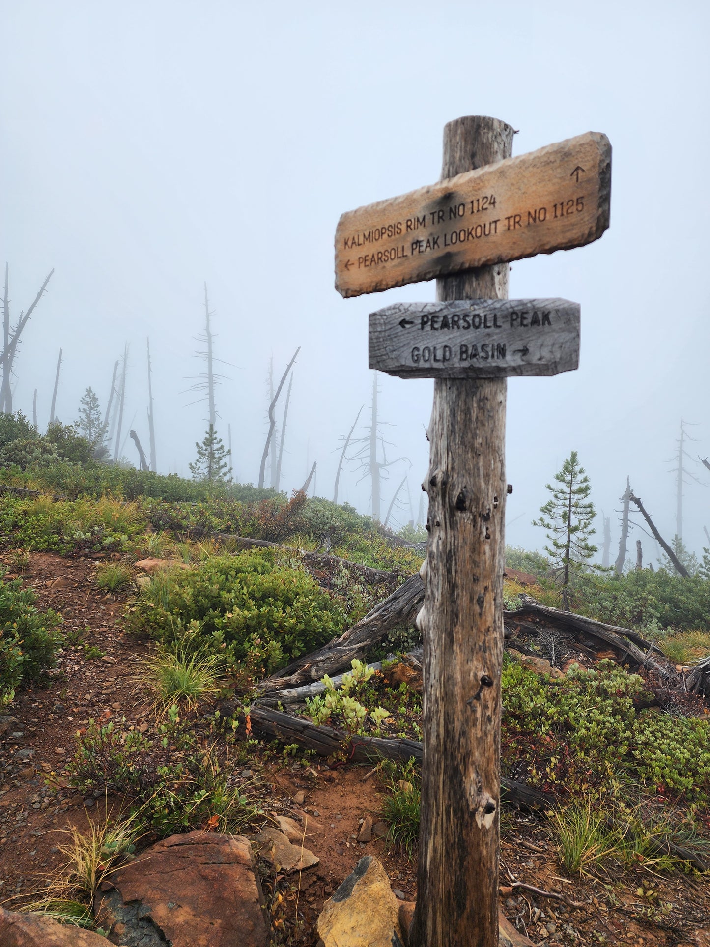 11x17 Kalmiopsis Rim Trail from Onion Camp to Pearsoll Peak, Geo-Referenced PDF