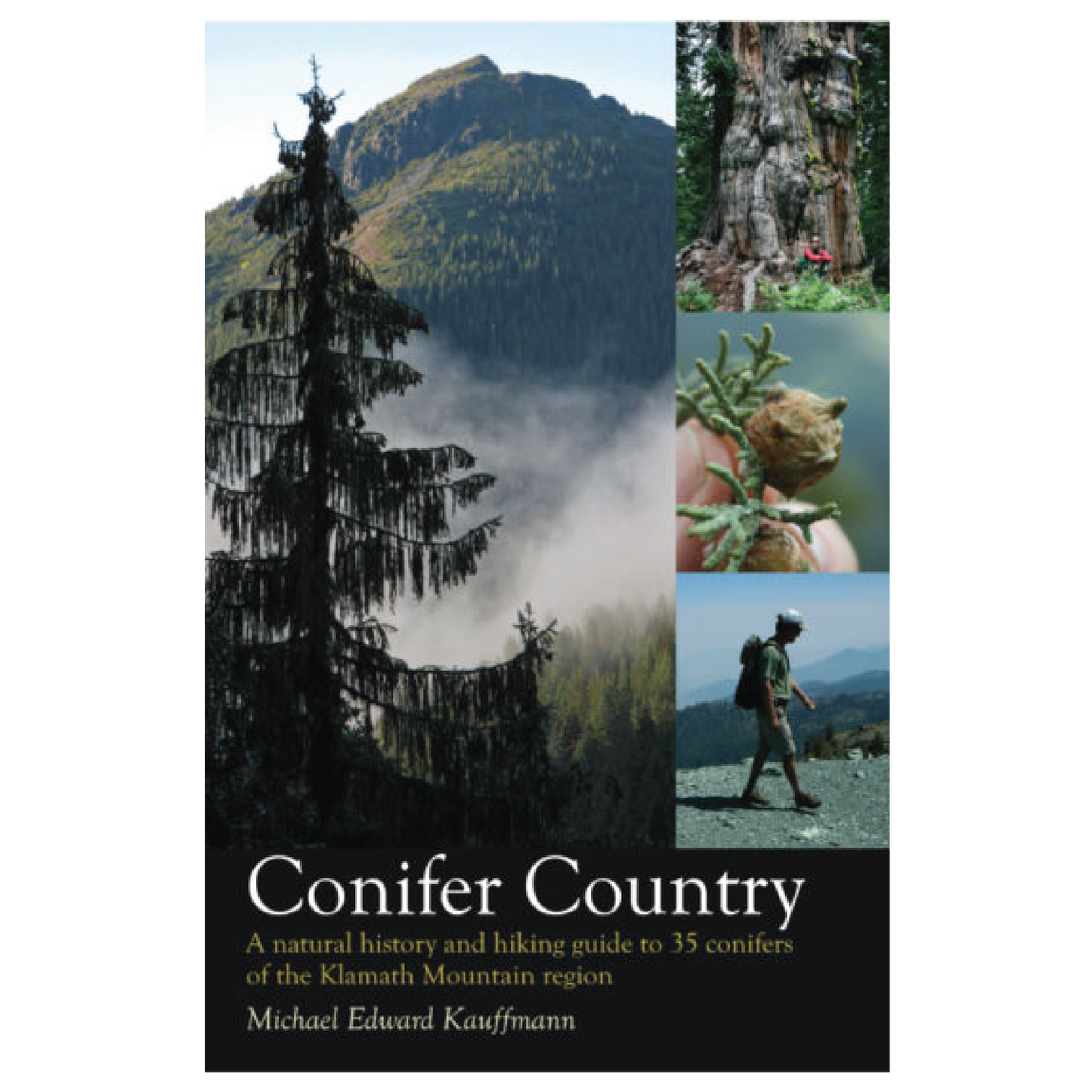 Conifer Country