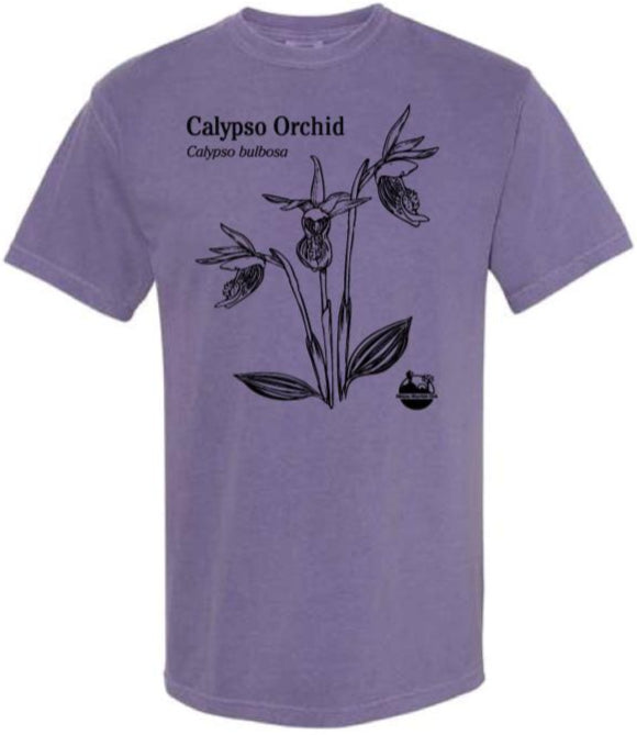 Calypso Orchid Tee