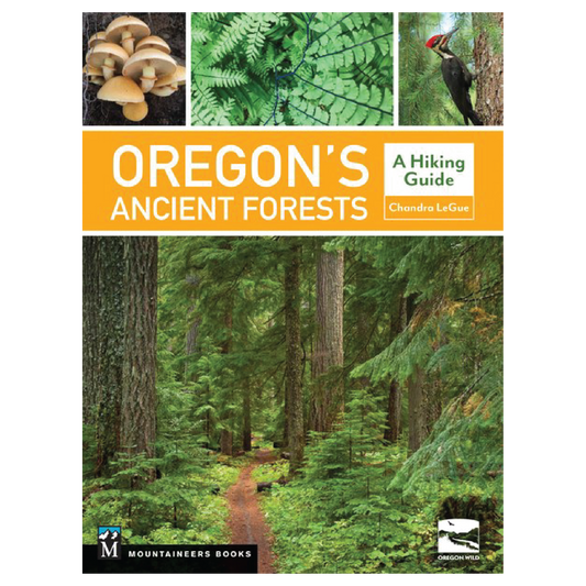Oregon's Ancient Forests: A Hiking Guide