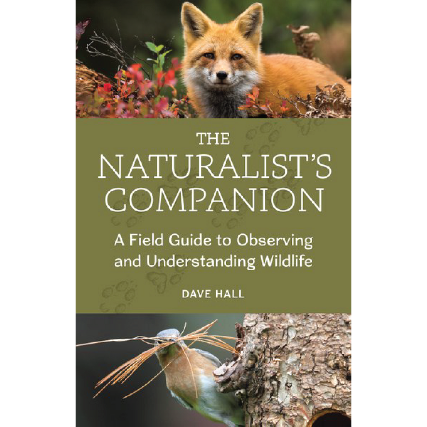 The Naturalist's Companion: A Field Guide to Observing and Understanding Wildlife