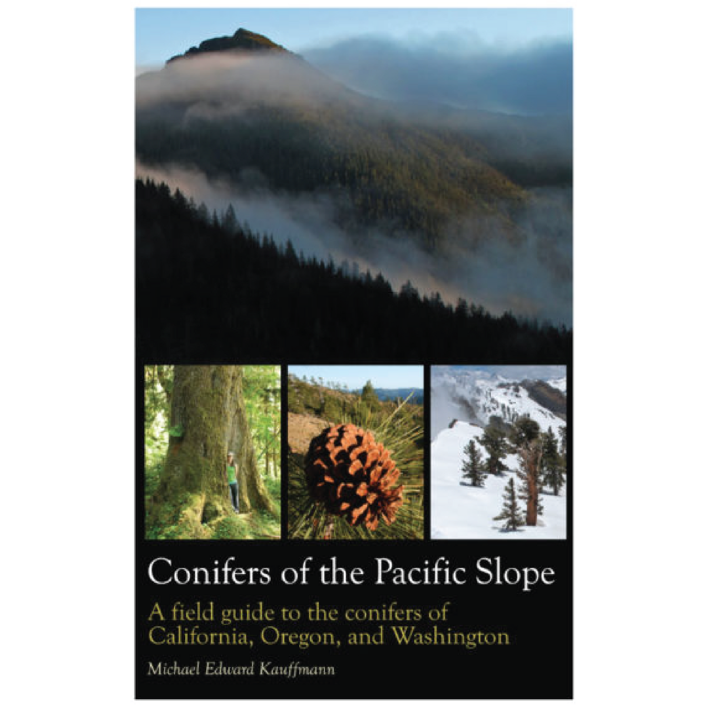 Conifers of the Pacific Slope