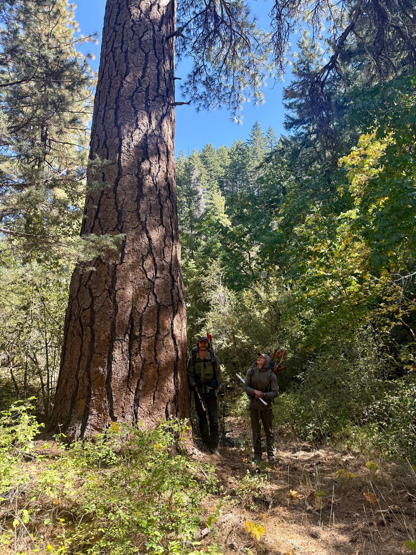 Lone Pilot Project Map - PRINT