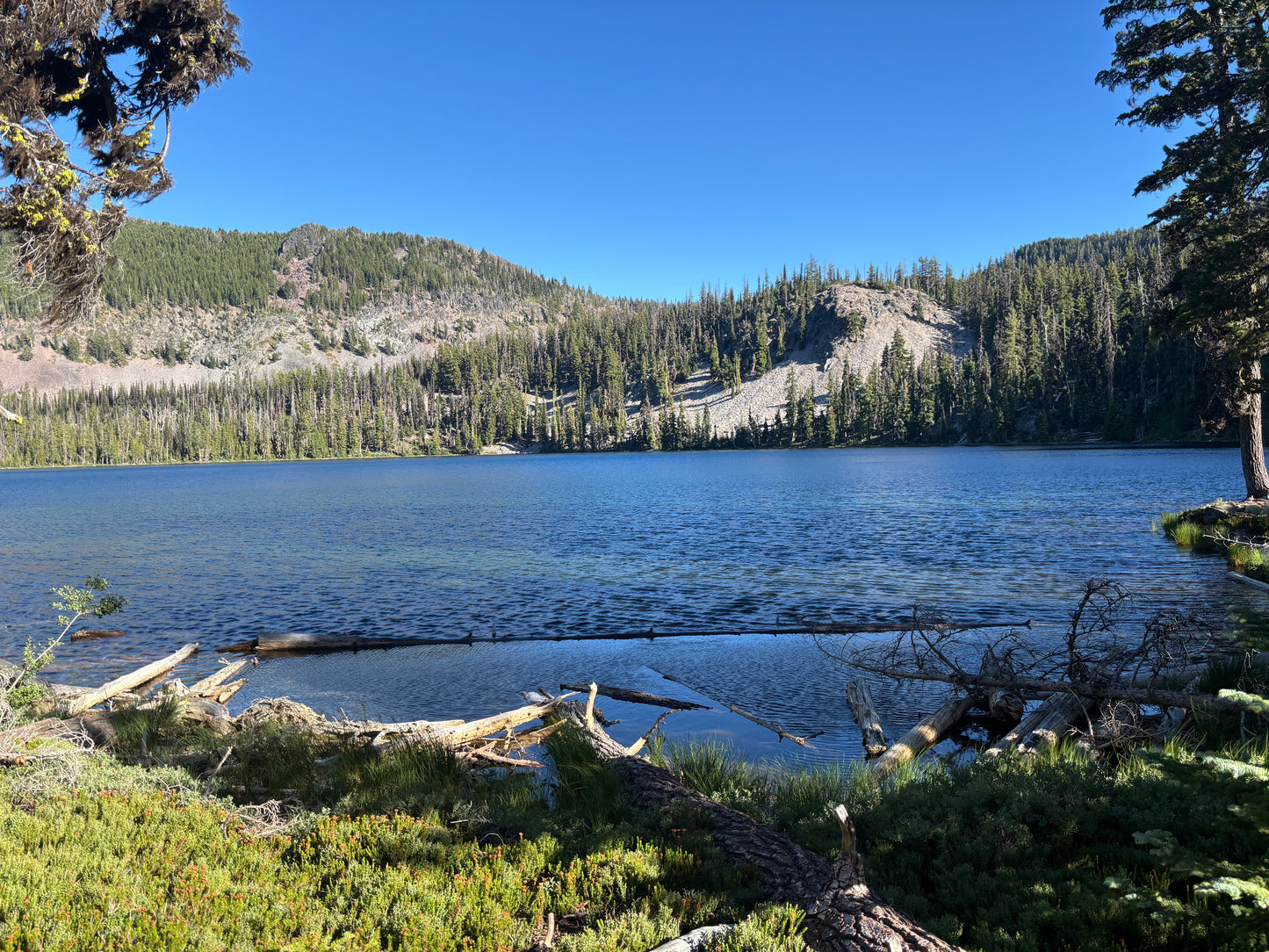 11x17 Mountain Lakes Field Map, Geo-Referenced PDF