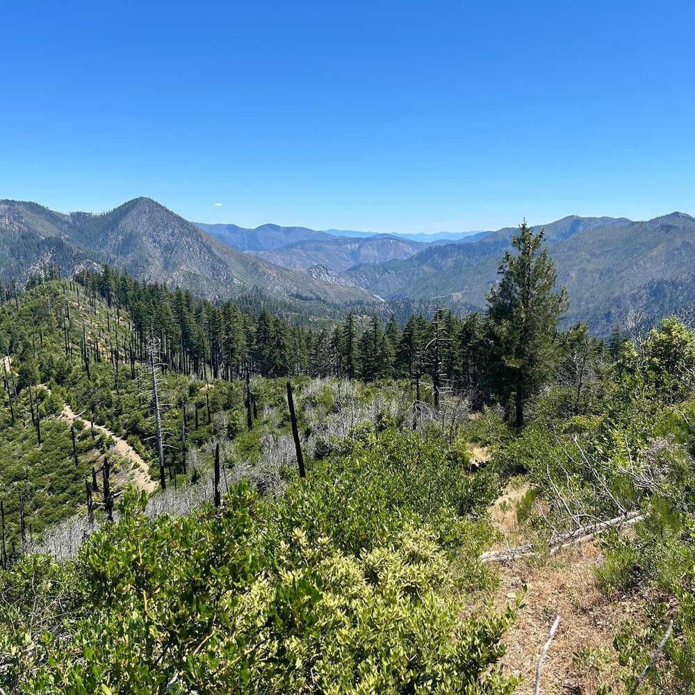Peak of the week: Bald Mountain