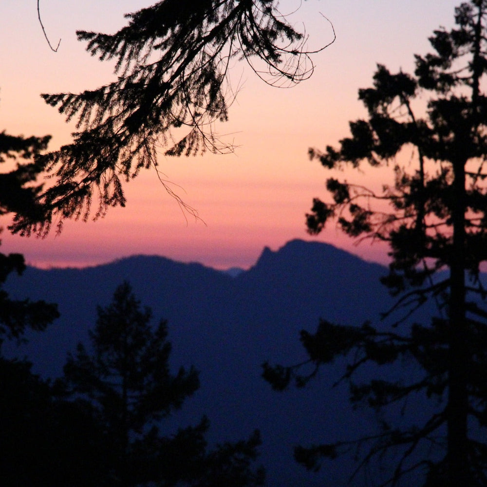 Peak of the Week: Tincup Peak
