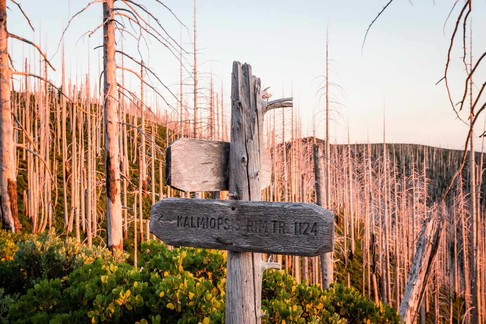 Signature Routes of the Siskiyou Backwoods