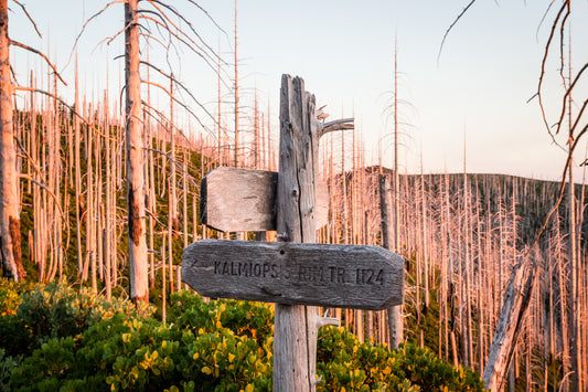 Signature Routes of the Siskiyou Backwoods