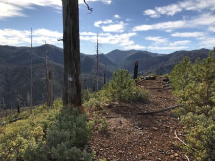 Winter blues and blue skies in the Kalmiopsis Wilderness