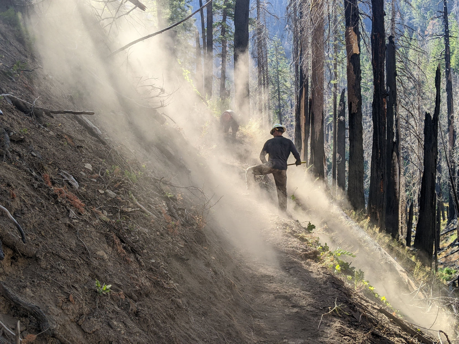 Out of bounds: SMC to strike Bull of Woods