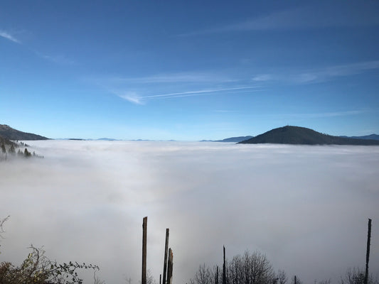 December 3: Bliss at Babyfoot, and a twist