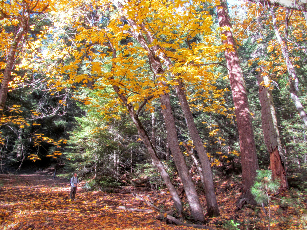 Monument moments to be had this September in the Soda Mountain Wilderness