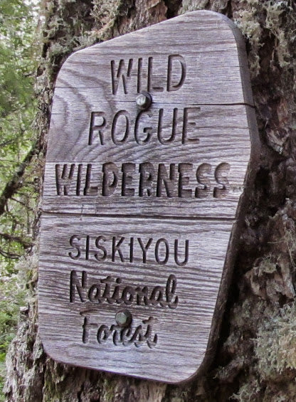 Wild Rogue Discovery