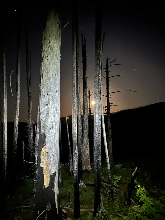 A Moonlit Hike to Pearsoll Peak