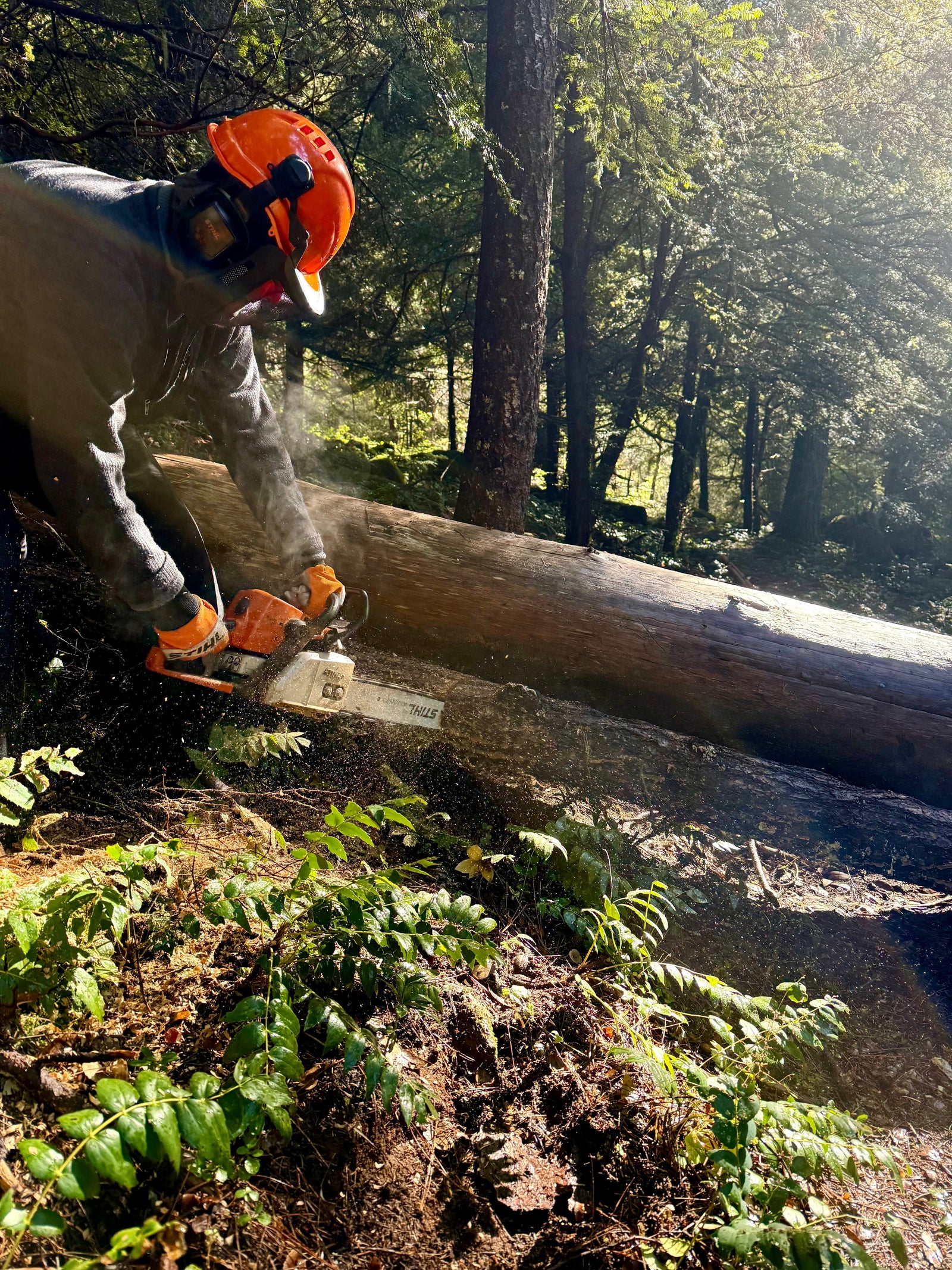 Women's Chainsaw Course draws participants from across the Rogue Valley