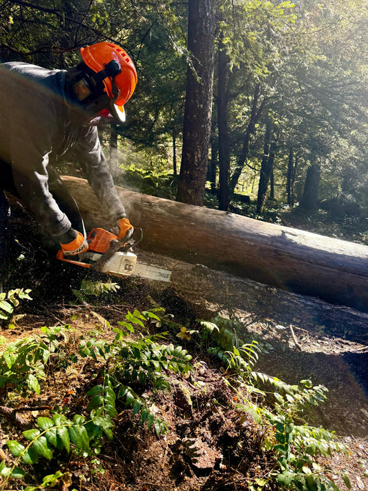 Women's Chainsaw Course draws participants from across the Rogue Valley