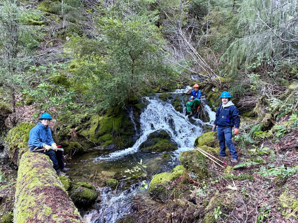 Taking on the Middle Fork: Open by fall