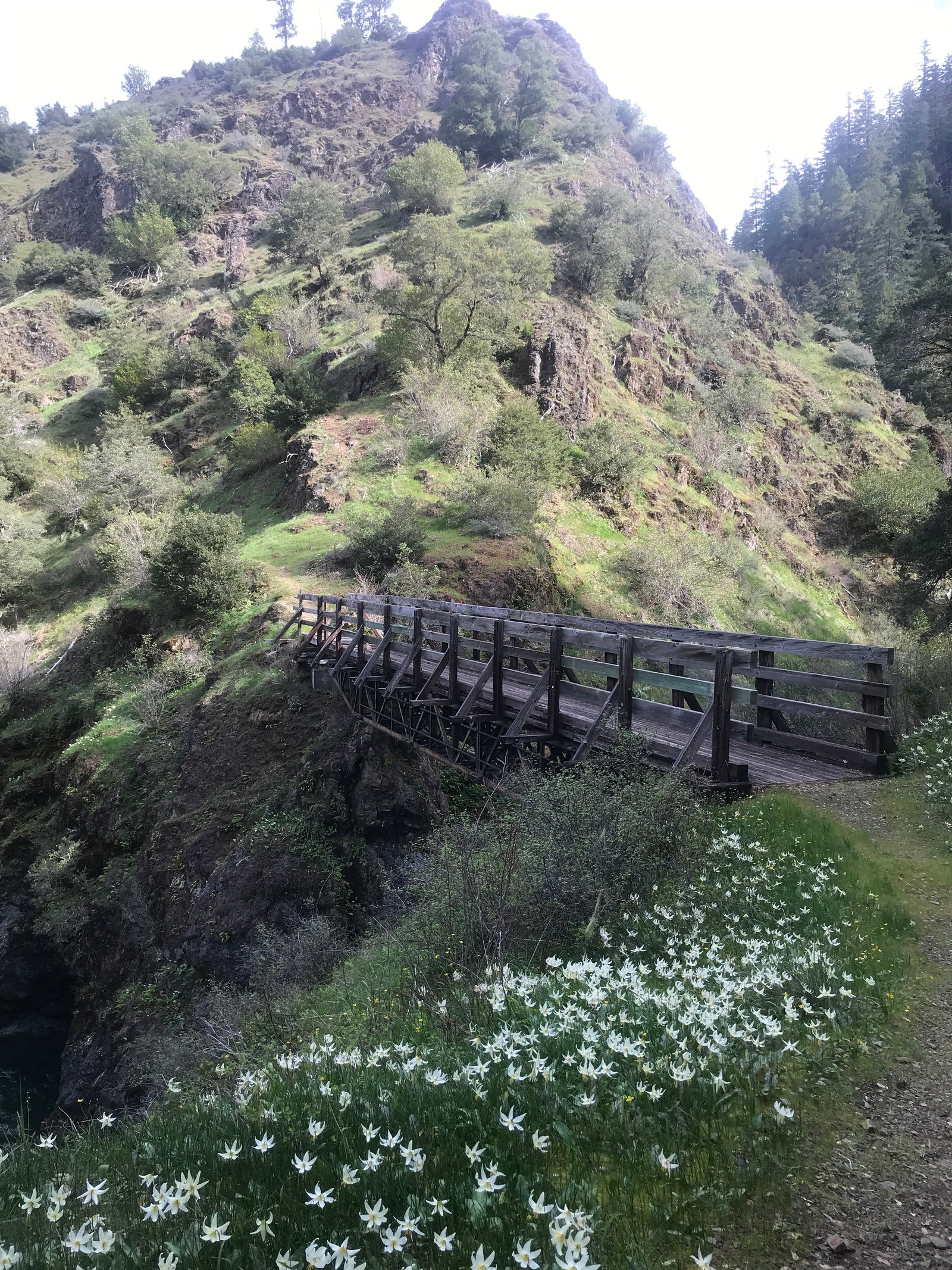 FOR IMMEDIATE RELEASE: SISKIYOU MOUNTAIN CLUB CREW RESTORES 25 MILE BACKPACKING LOOP IN WILD ROGUE WILDERNESS