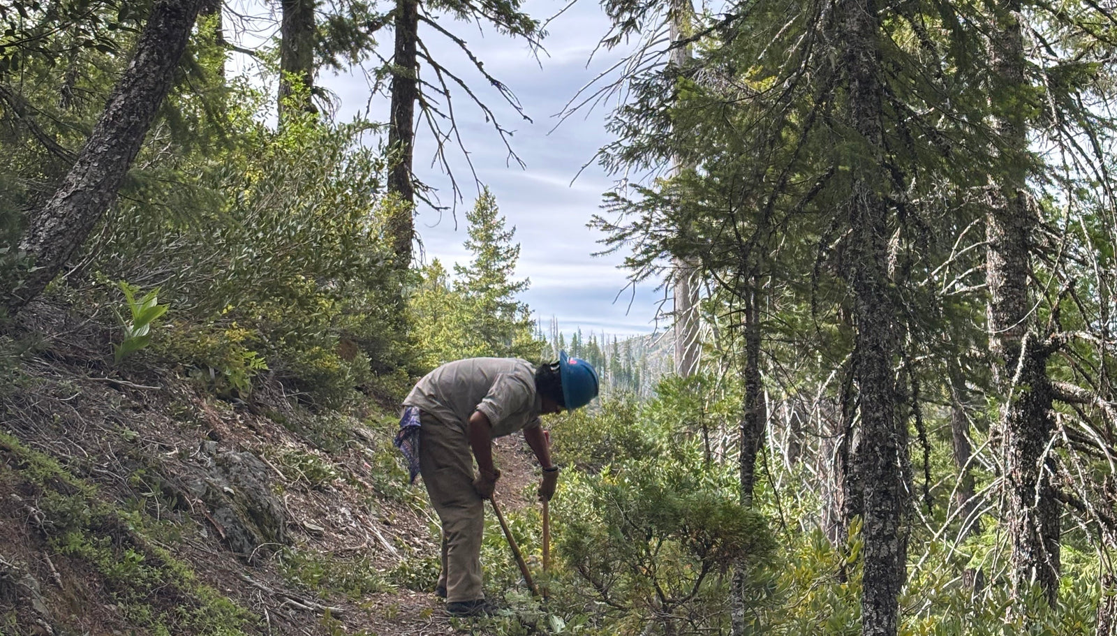First 2026 Wilderness Corps Interns restore Little Chetco Loop