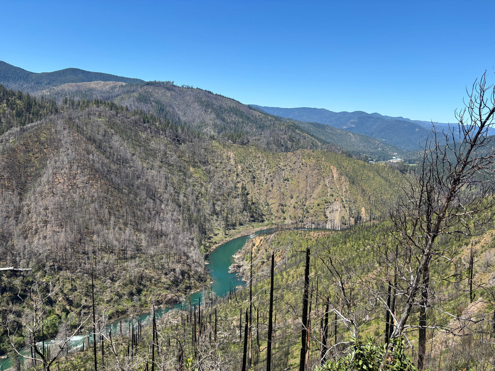 A trail forlorn, forgotten, and now gone: Hobson Horn