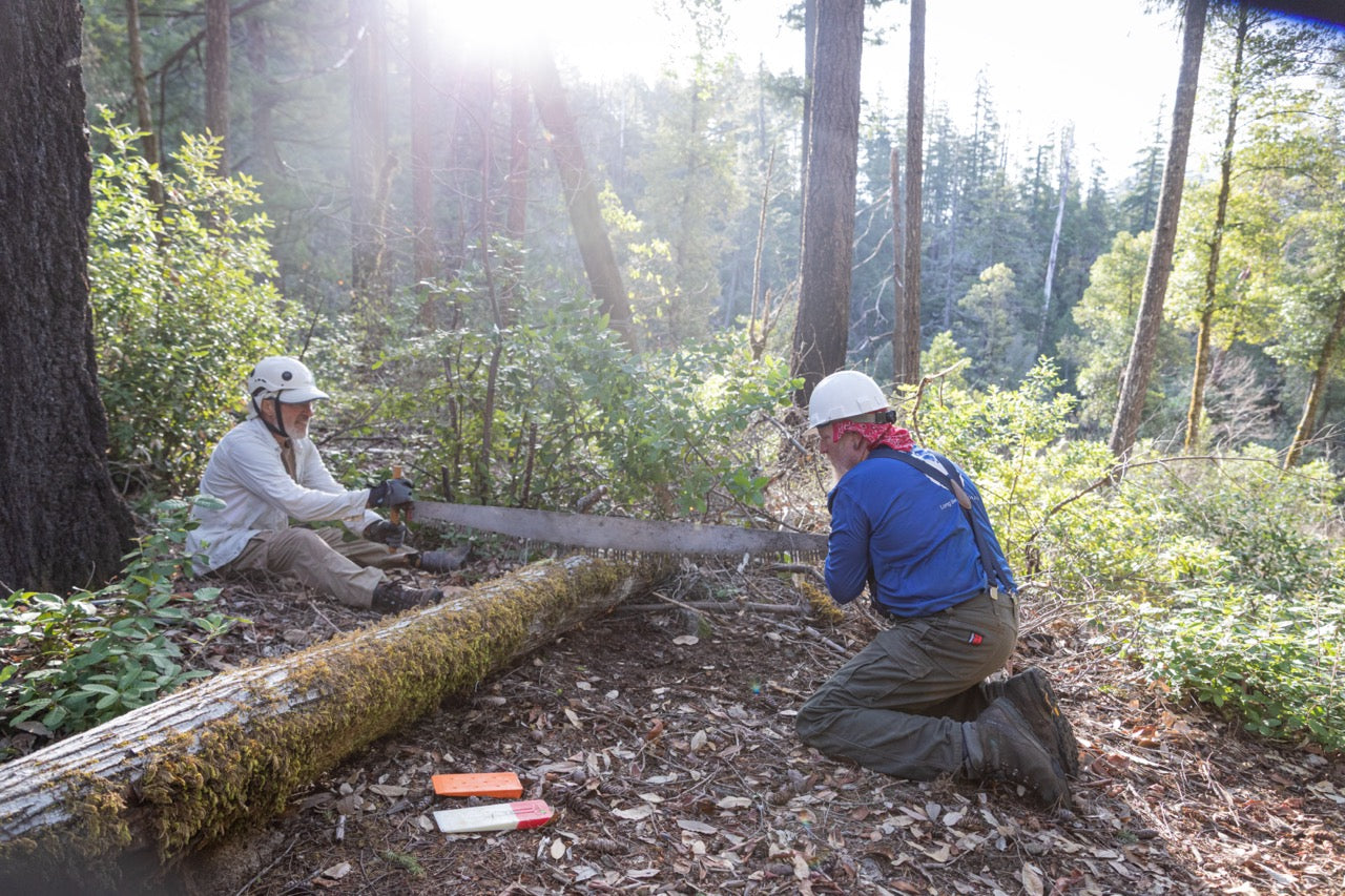 Spring 2025 Get Out Guide: Kids camps & trail days