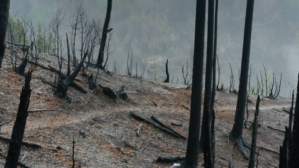 Into thin air: $500 million for USFS programs