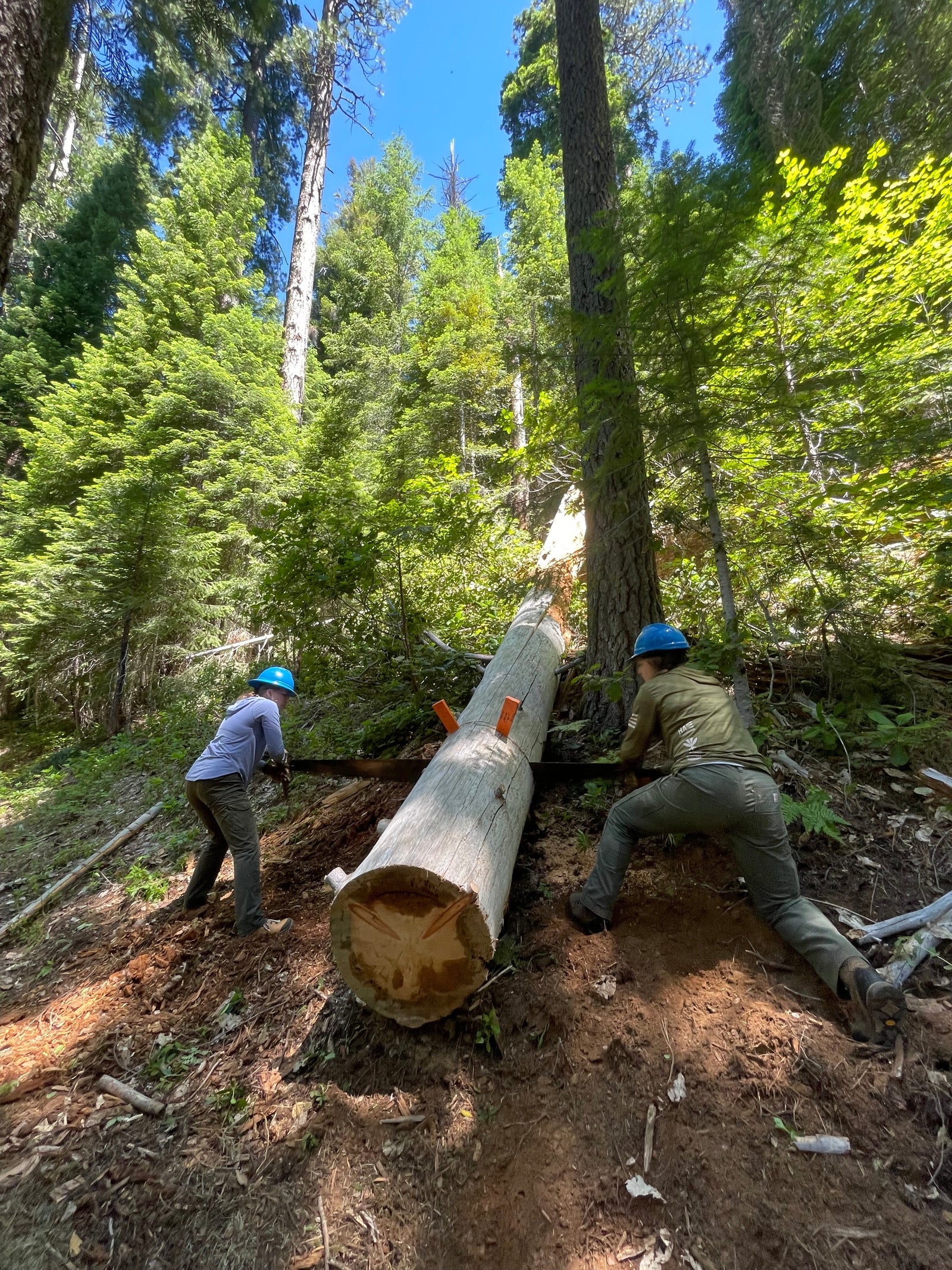 Applications go live for 2025 Corps interns