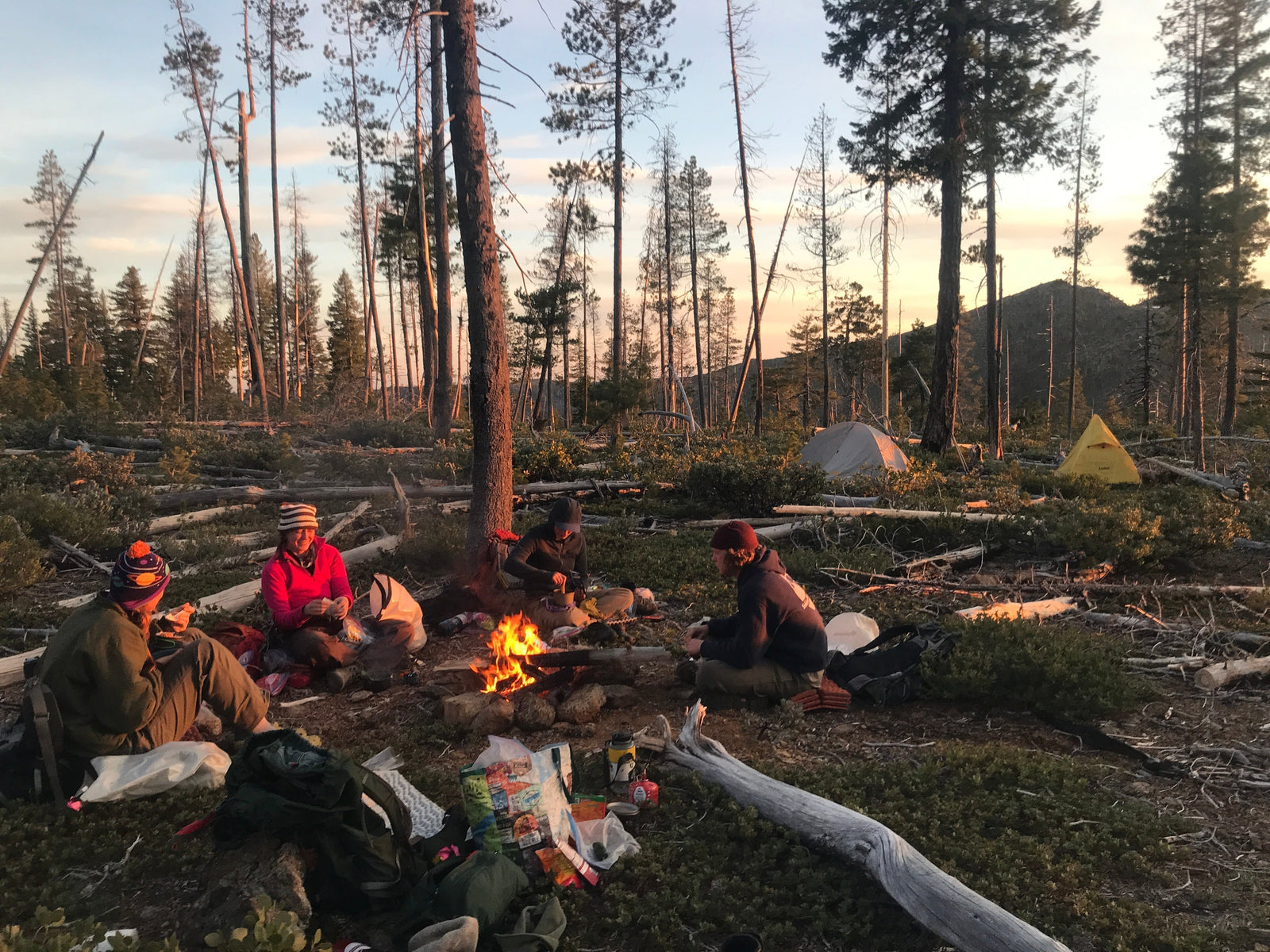 Staff crew works along Kalmiopsis Rim Trail