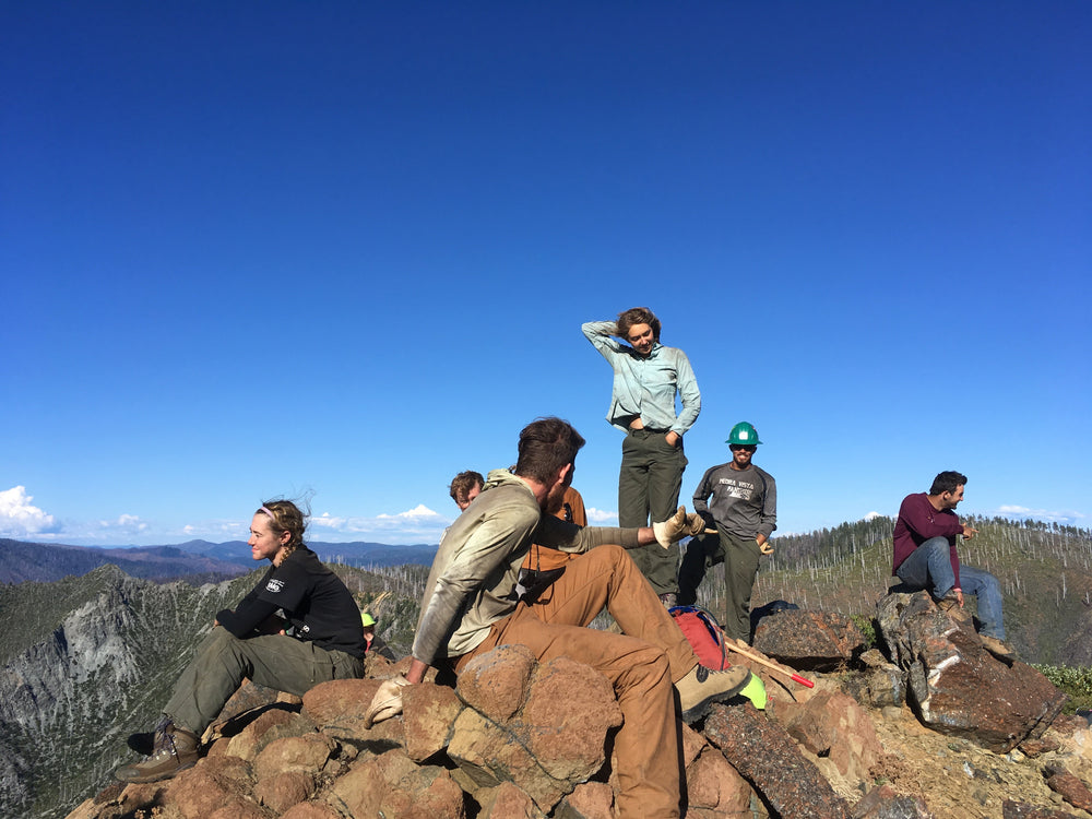 Doe Notes: the diary of a 2019 intern (PART 1/5)