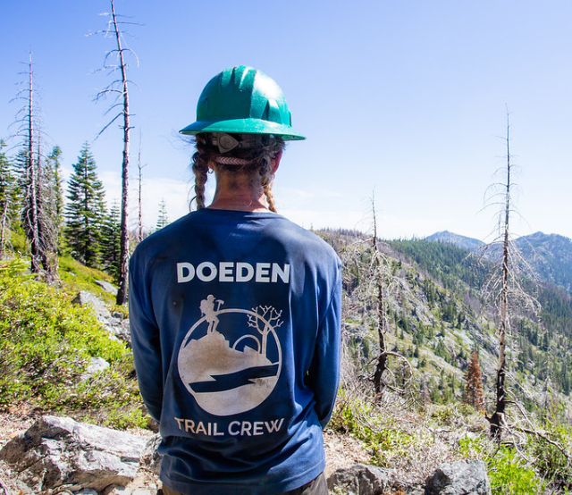 Doe Notes: the diary of a 2019 intern (PART 3/5)