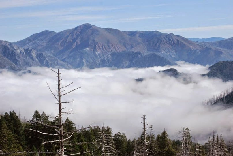 Trans-Kalmiopsis Route Trip Report