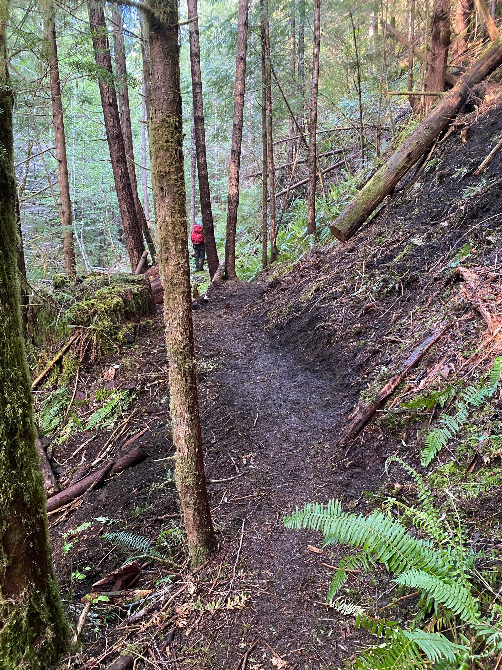 Seize the season and chase the crew: 10 summer hikes on trails recently serviced