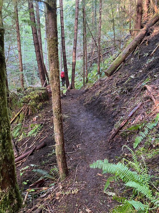 Seize the season and chase the crew: 10 summer hikes on trails recently serviced