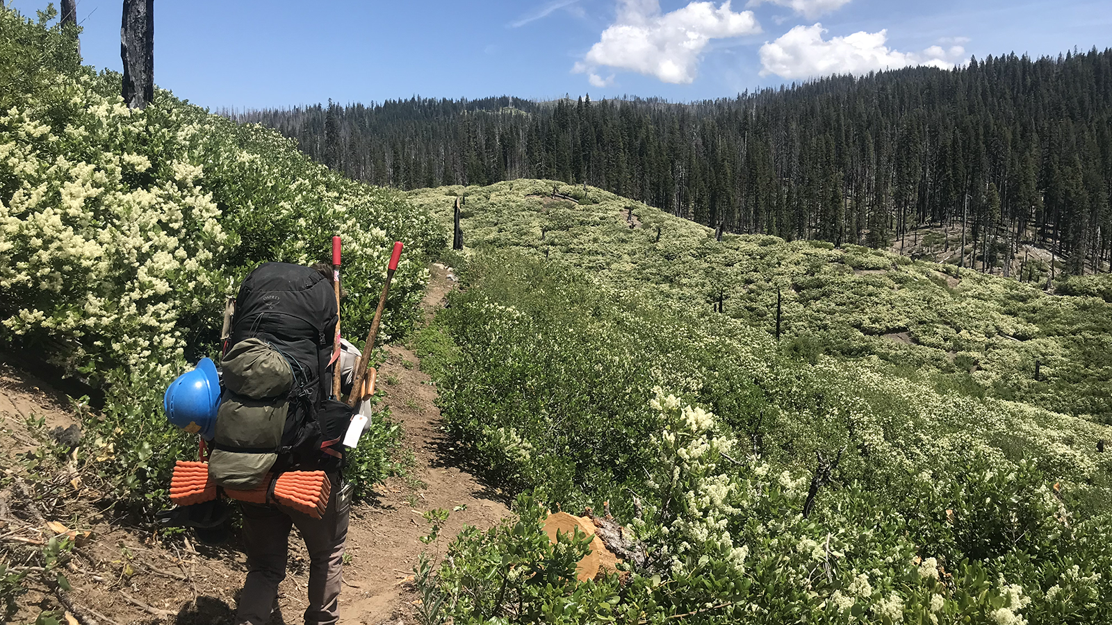 Backpacker's Pantry