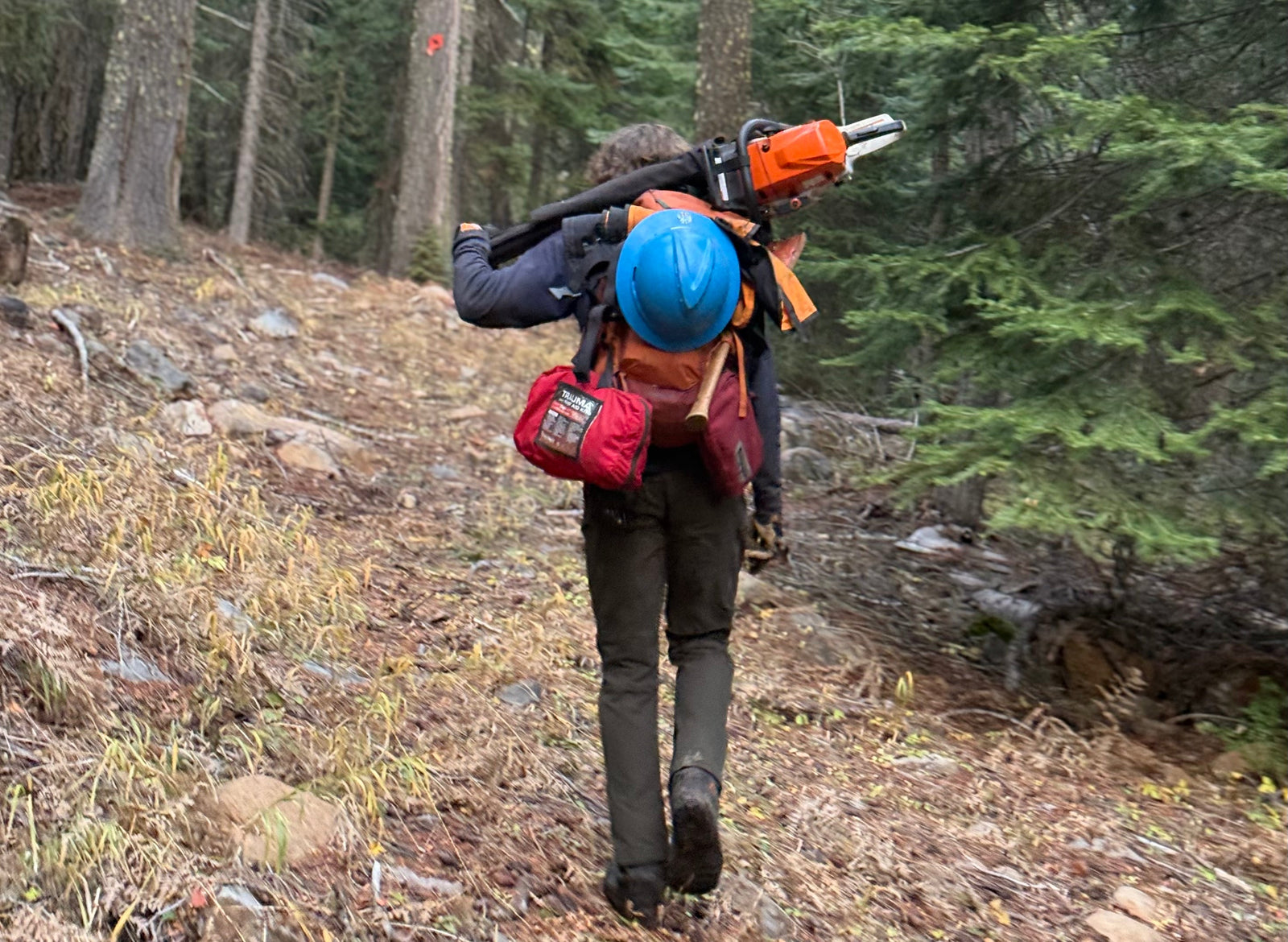 Trail Guide