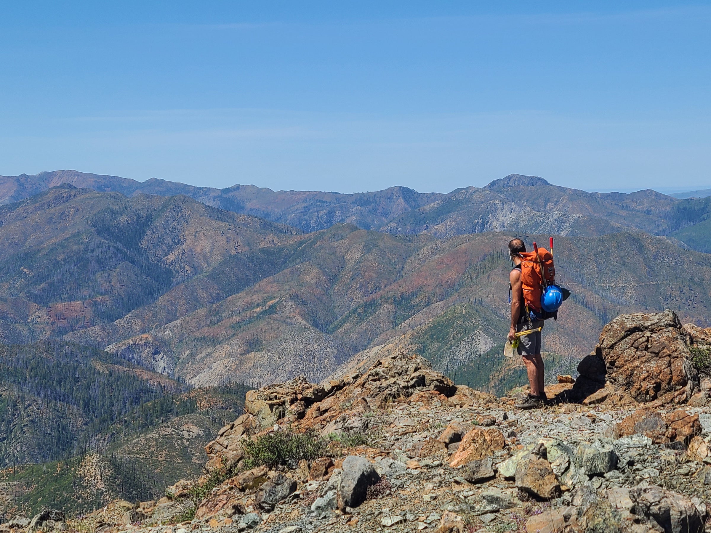 Nature Identification