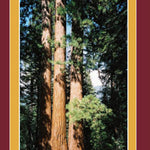 Sequoia National Forest MAP