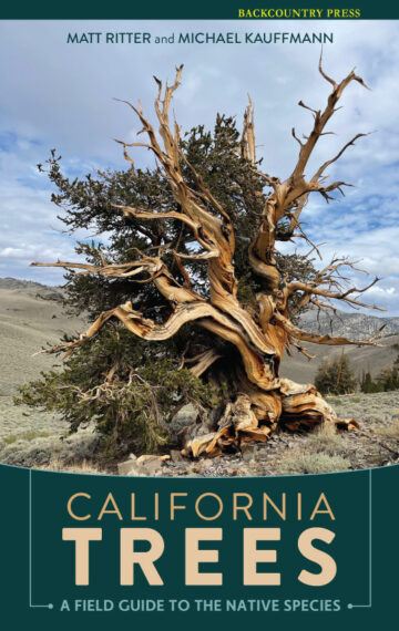 California Trees