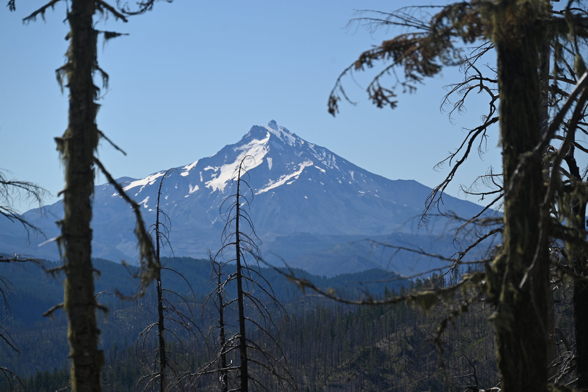 Mt. Hood National Forest Map