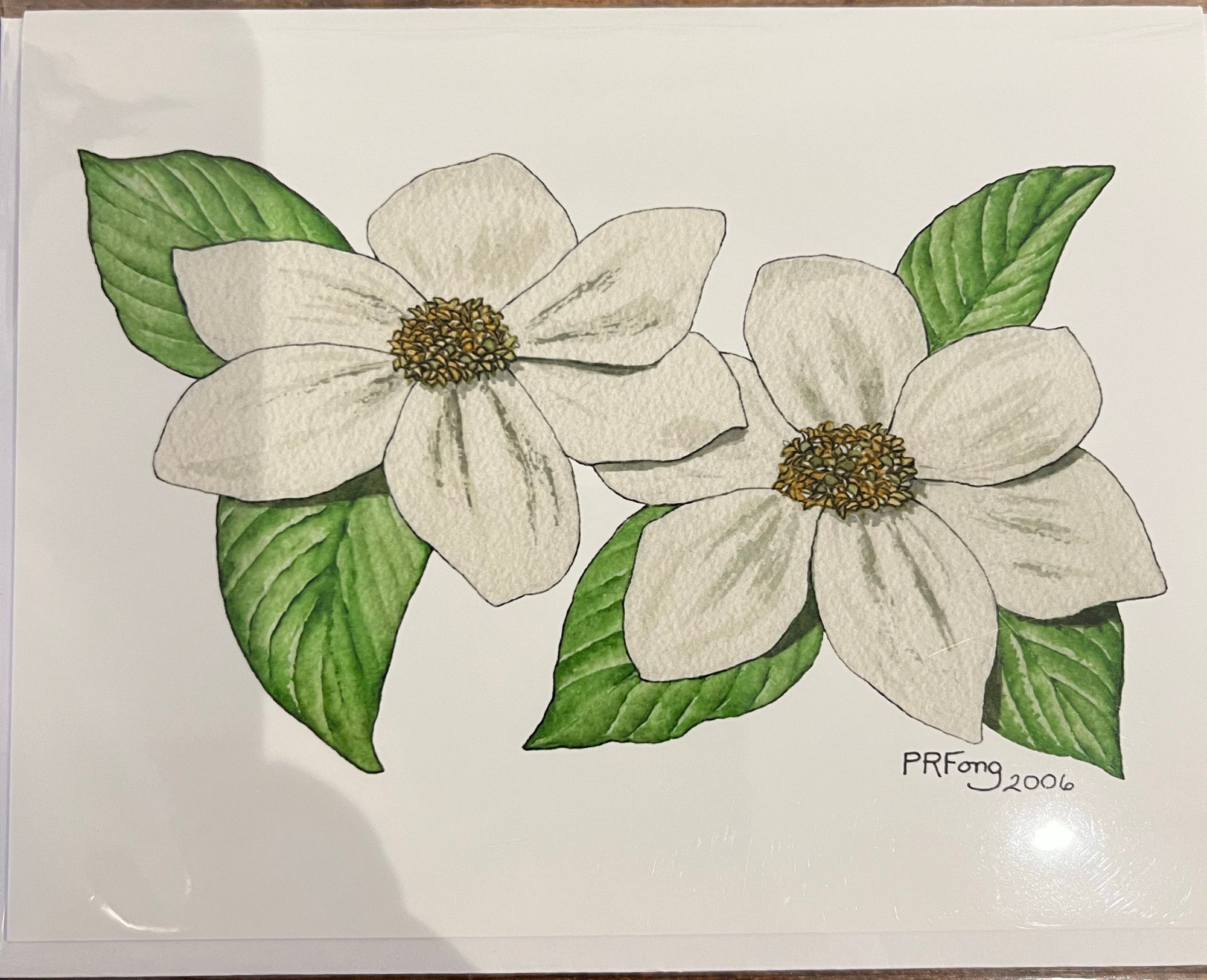 Paula Fong Greeting Cards