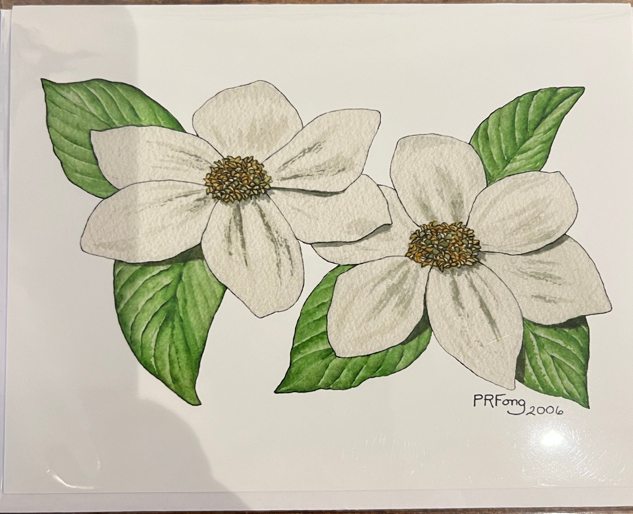 Paula Fong Greeting Cards