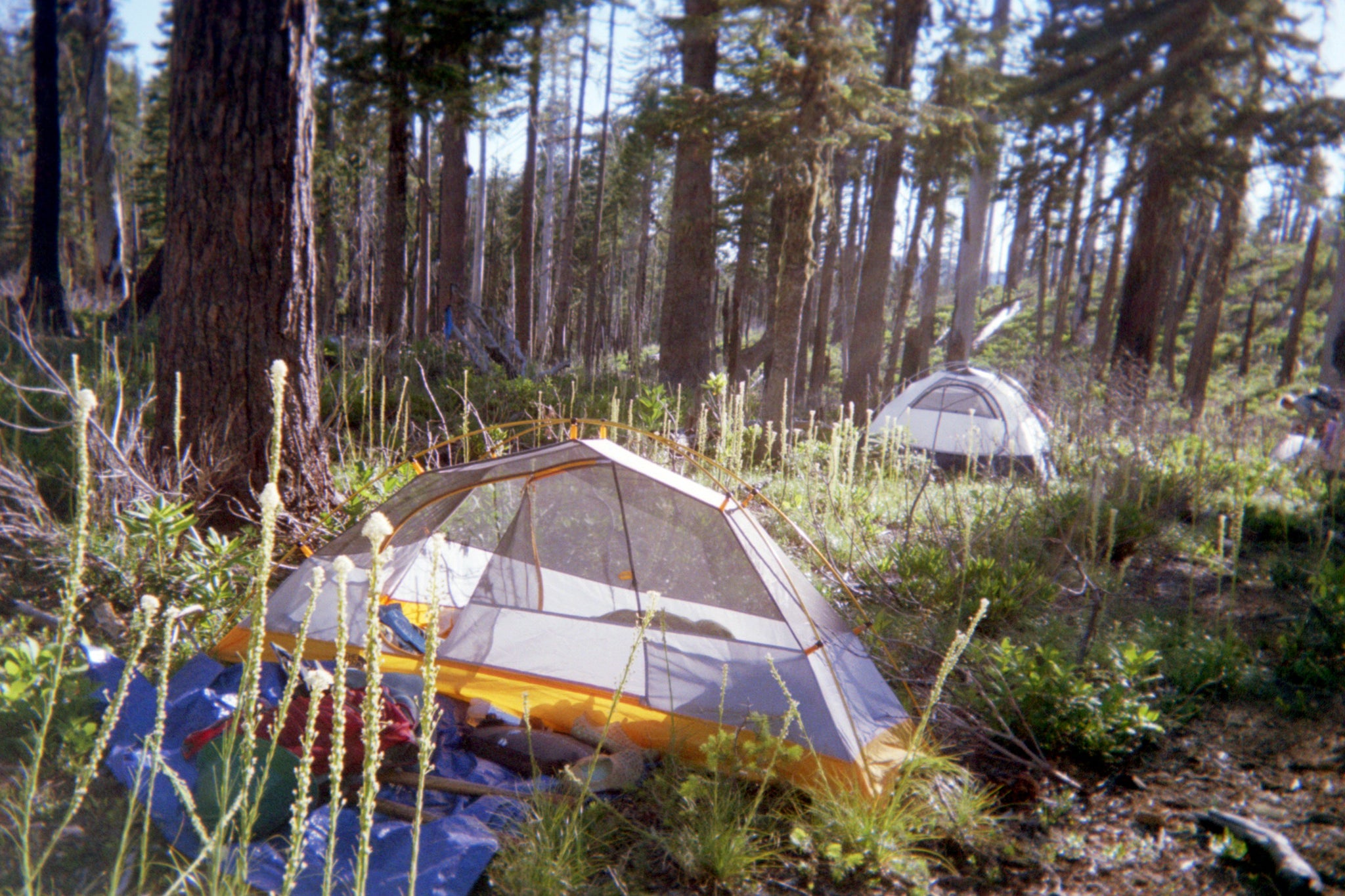 Backpacking 102 Course - Multi-day preparation and navigation