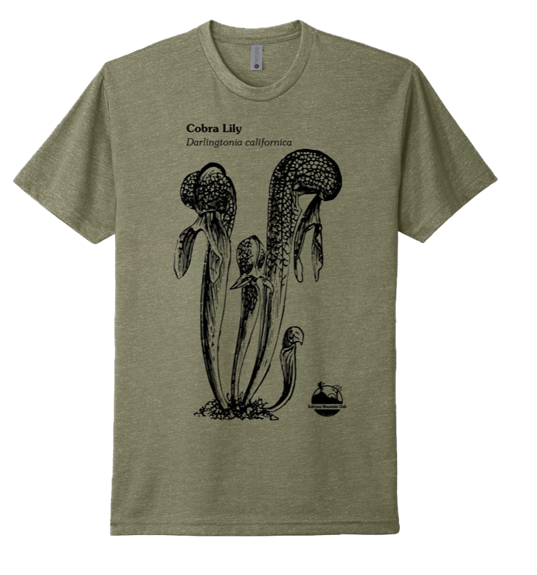 Cobra Lily Tee