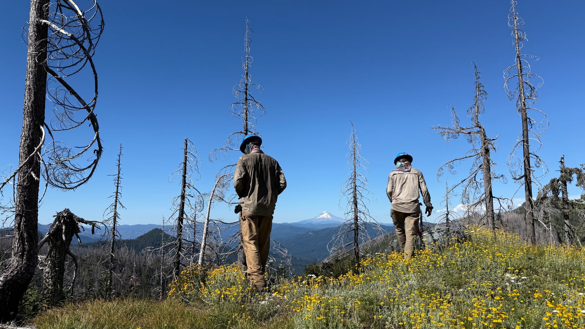 Mt. Hood National Forest Map