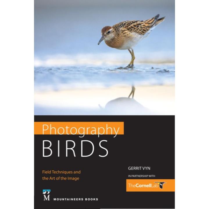 Photography Birds