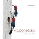 Woodpecker - A year in the life of North American woodpeckers