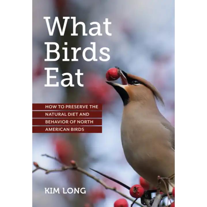 What Birds Eat