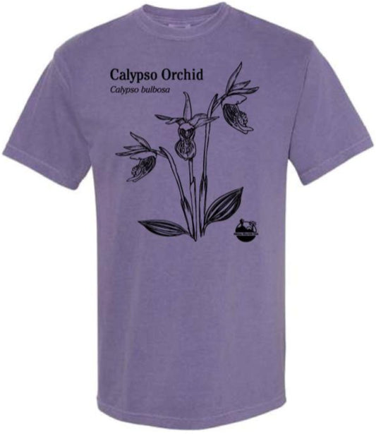 Current Membership Special: Calypso Orchid