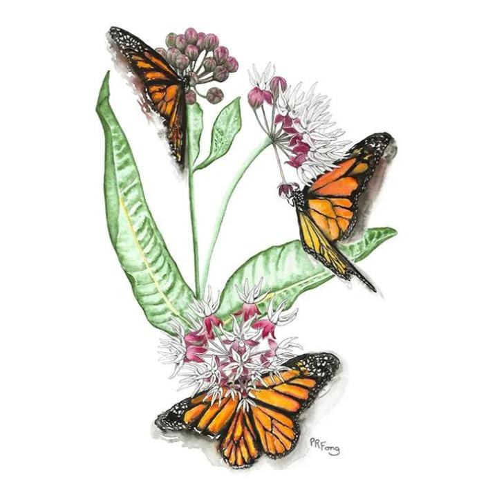 Paula Fong Greeting Cards